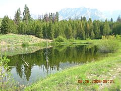 Pond in Boulder Mountains