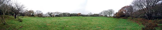 Prideaux castle