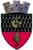 Coat of arms of Dolhasca