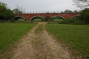 Railway viaduct, Alney Island, Gloucester - geograph.org.uk - 435076