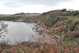 Saltern Cove - geograph.org.uk - 1084668