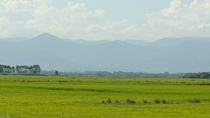 Landscape in the Pampas at eye level. Brazil.