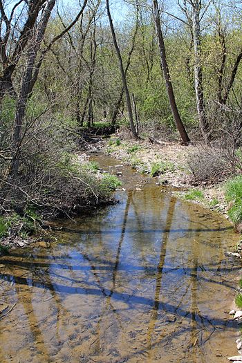 Shepman Run looking downstream.jpg