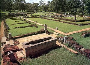 Sri Lankan Traditional Medicine