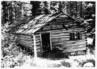 Sulphide Frisco Cabin.jpg