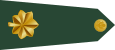 US Army O4 shoulderboard rotated.svg