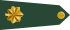 US Army O4 shoulderboard rotated.svg