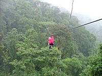 Zip-line over rainforest canopy 4 January 2005, Costa Rica