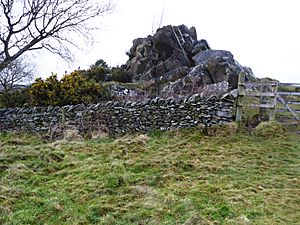 Altar Stones 10