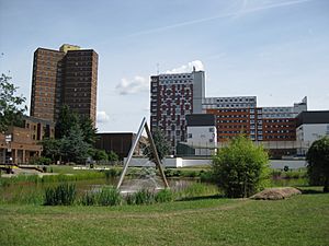 Aston University Lake 2010