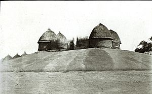 Aturwic 1910