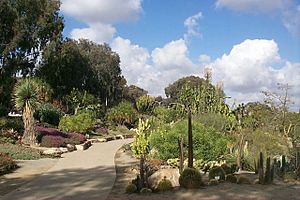 BalboaPark DesertGarden