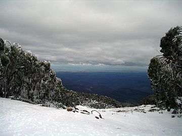 Baw-baw-view-gippsland.jpg