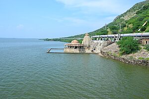 Bisaldeo temple submerged