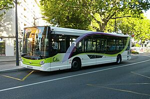 Bus citea valence (004)-001