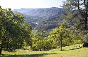 Cache Creek Wilderness (16044992702)