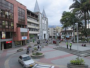 View of Calarcá