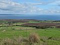 Cape Jarvis farmland