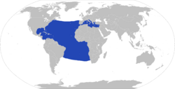 Distribution of Tremoctopus violaceus