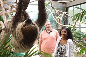 Elmwood Park Zoo Sloth.jpg