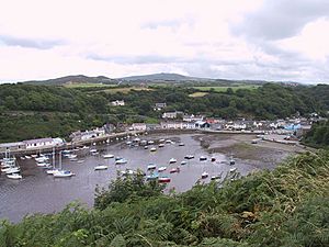 Fishguard Harbour.JPG