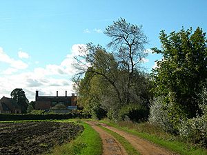 Hadham Hall - geograph.org.uk - 253405