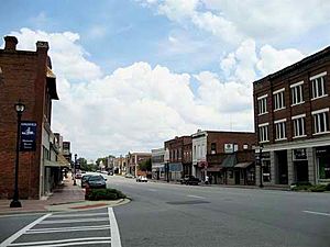 Hawkinsville Downtown.jpg