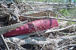 HendrickIslandDebris