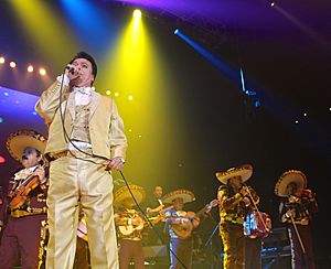 Juan Gabriel --- Pepsi Center --- 09.26.14 (15367329711)