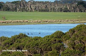 King Island Lake Flanagan