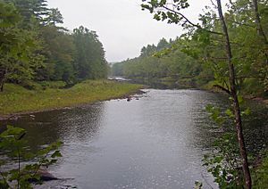 Lackawaxen River.jpg