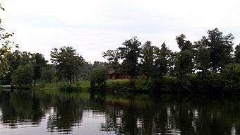 Lake Wedington 002.jpg