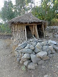 Lalibela-Toukoul