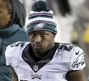 Lesean mccoy 2014