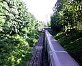 Looking south to Rosedale station