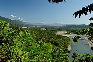 Manu National Park-71