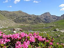 Paisatge d'Andorra