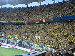 Petrolul Ploiesti fans