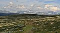 Pilgrimsleden Dovrefjell