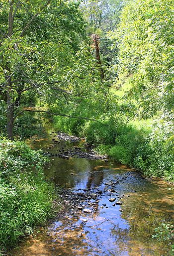 Plum Creek looking downstream.JPG