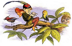 Poor little birdie teased by Richard Doyle