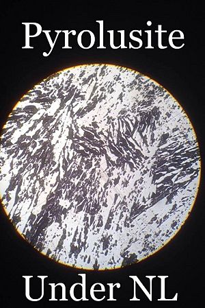 Pyrolusite under normal light