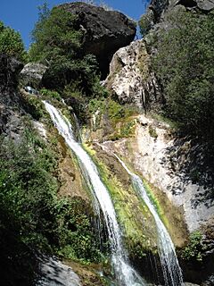 Salmon Creek Falls2.jpg