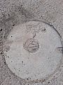 Sasa manhole cover