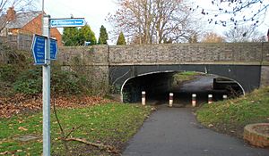 SheltonLockbridge