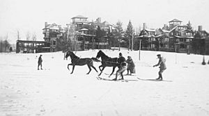 Skijoring Mirror Lake