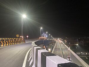 Srinivasa Sethu Flyover View