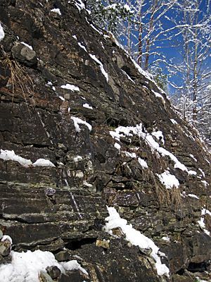 St. Louis Limestone (Middle Mississippian; Route 460 roadcut south of Frenchburg, Kentucky, USA) 3 (46672347301)