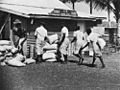 StateLibQld 2 394325 Saibai women help unload produce for the general store on Saibai Island, 1952