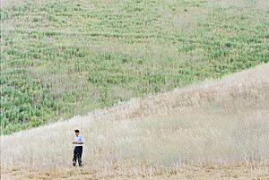 Still from the Documentary, The Voice of Dust and Ash